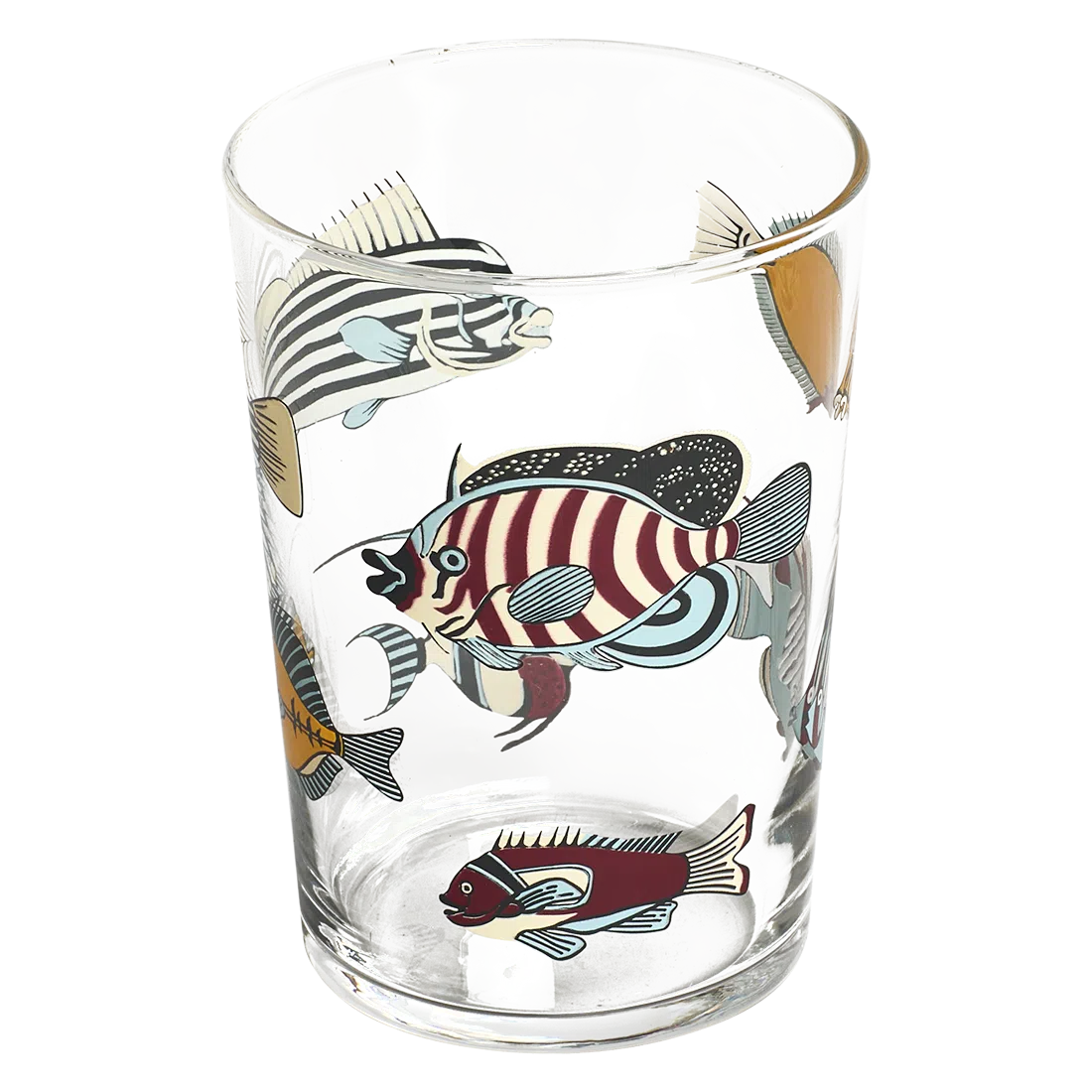 MUSEUM FISH TUMBLER (17.24OZ)