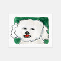 DOG POSTCARD SET BY BEN LENOVITZ (SET OF 10) (4.5"X5.5")