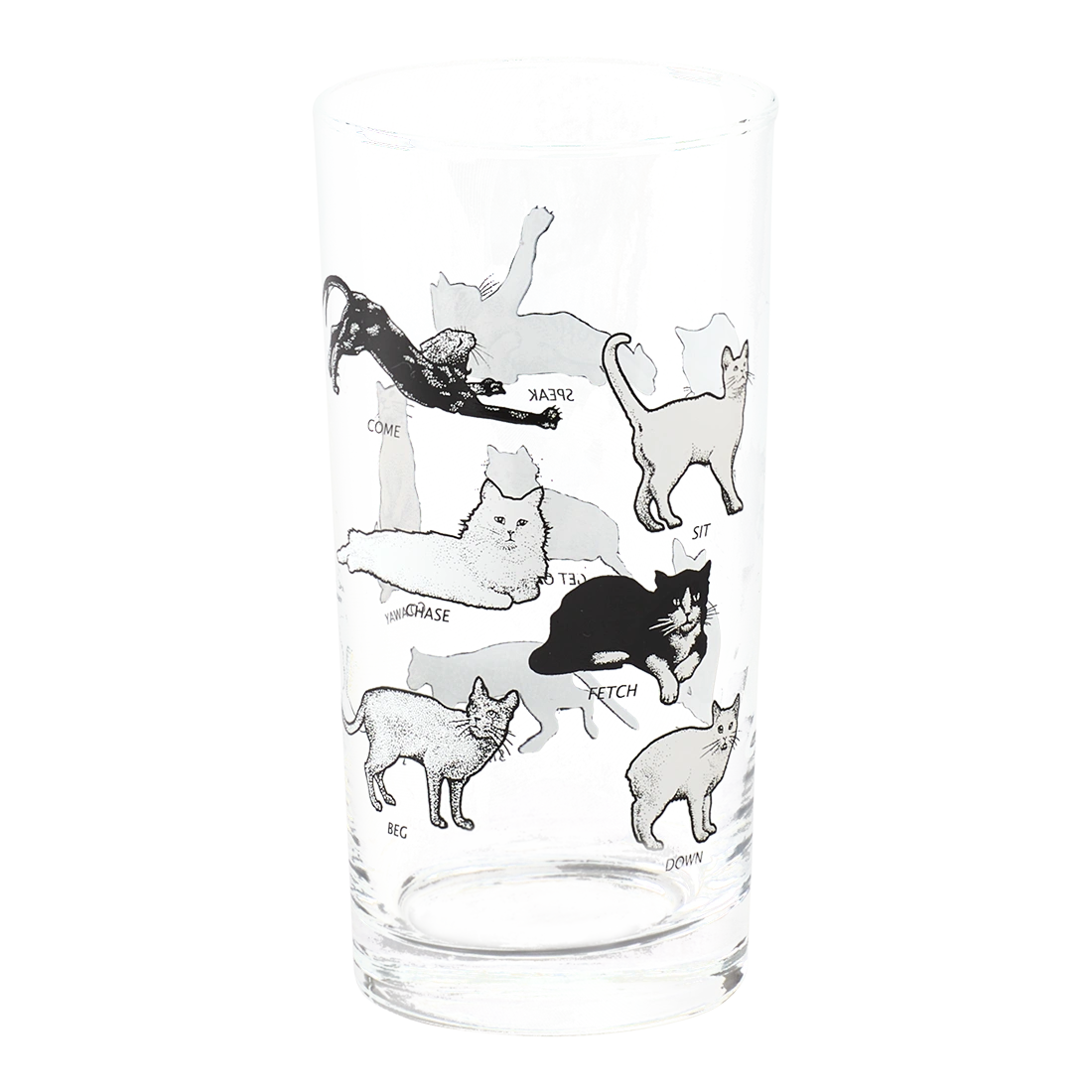 CAT TRICKS - HIGHBALL GLASS (12OZ)