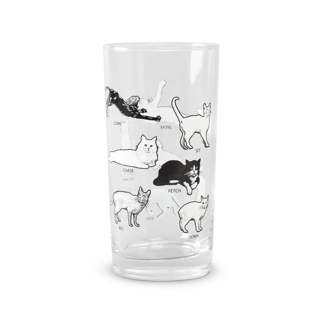 CAT TRICKS - HIGHBALL GLASS (12OZ)
