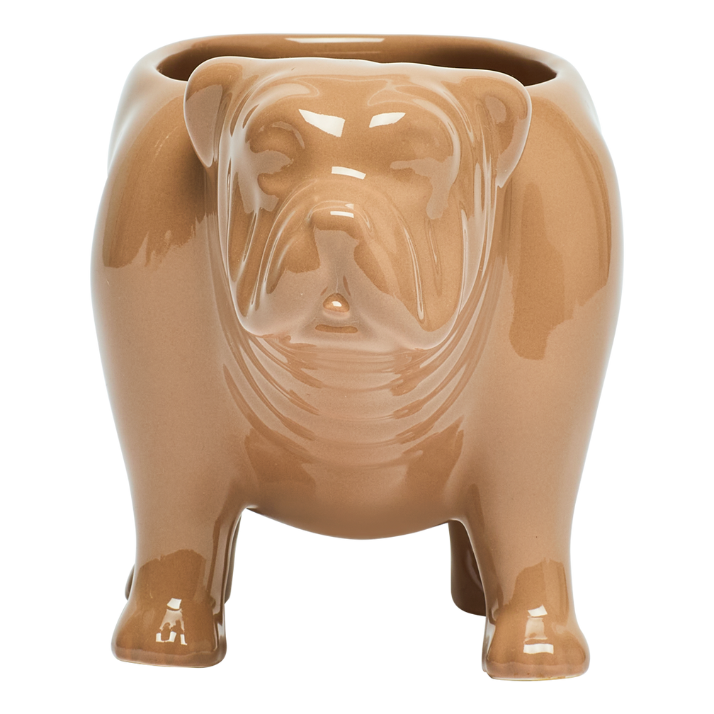 Brown ceramic bulldog-shaped planter on a white background