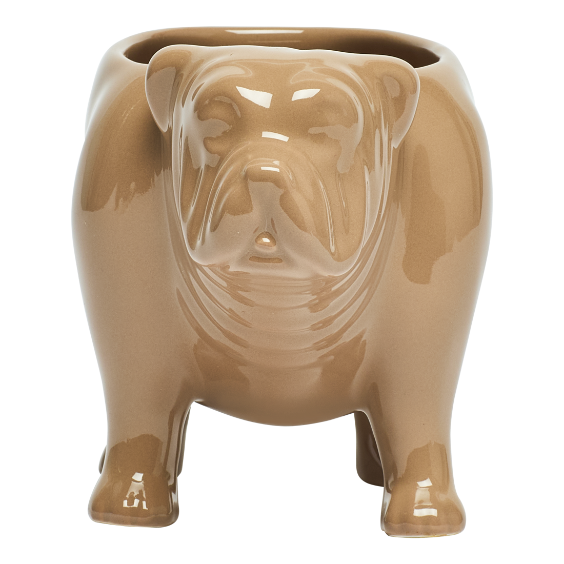 Brown ceramic bulldog-shaped planter on a white background