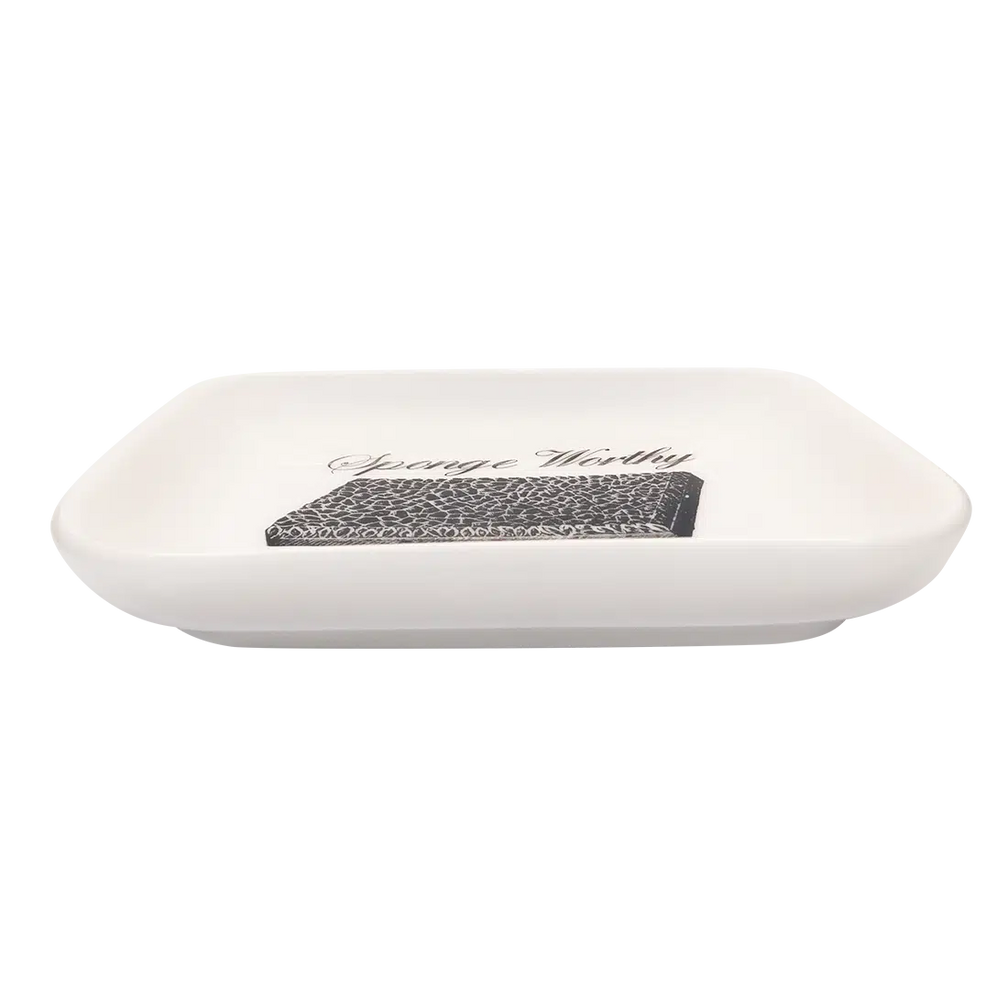 FUNNY LITTLE TRAYS - SPONGE WORTHY (5.5