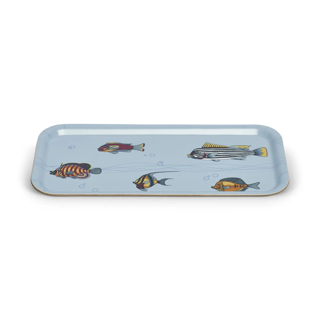 MUSEUM FISH TRAY (10.6"x5.1")