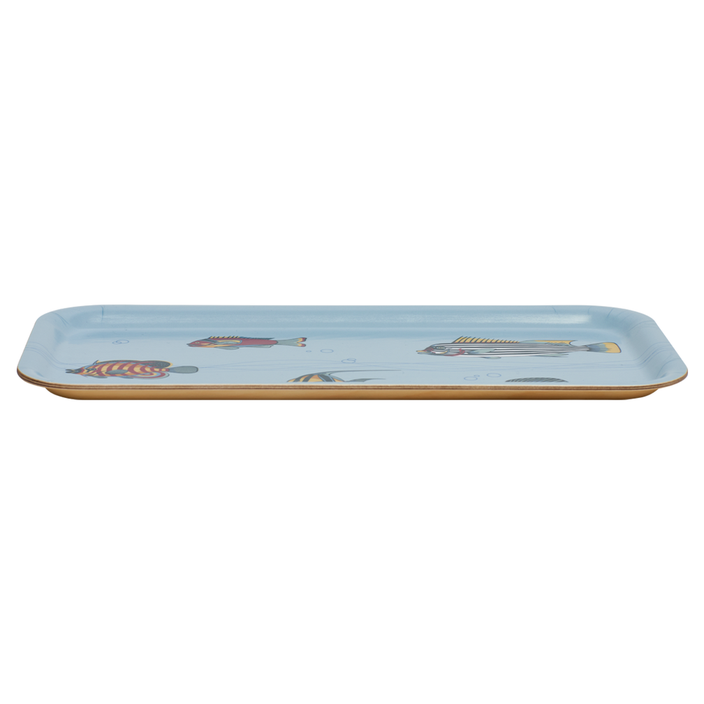Museum Fish Tray crafted from durable ceramic, ideal for everyday use