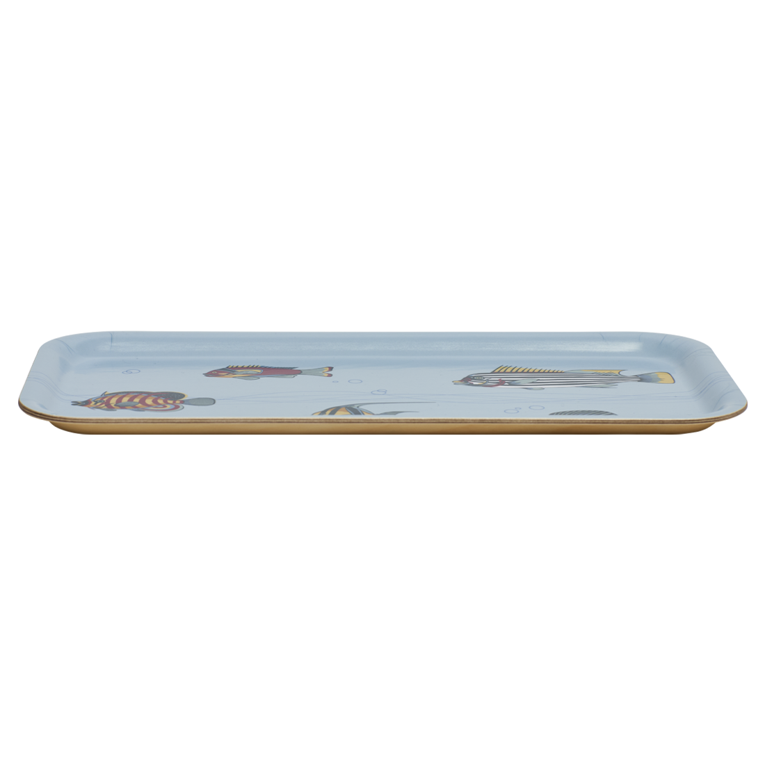 Museum Fish Tray crafted from durable ceramic, ideal for everyday use