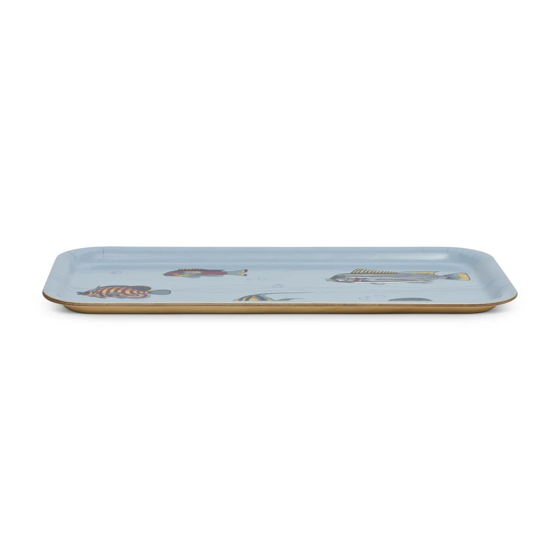 MUSEUM FISH TRAY (10.6"x5.1")
