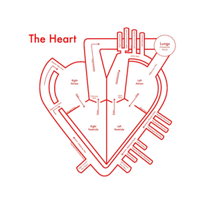 HEART BY ARCHIE ARCHAMBAULT (8