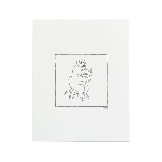 OLD DOG NEW TRICKS BY LIANA FINCK
