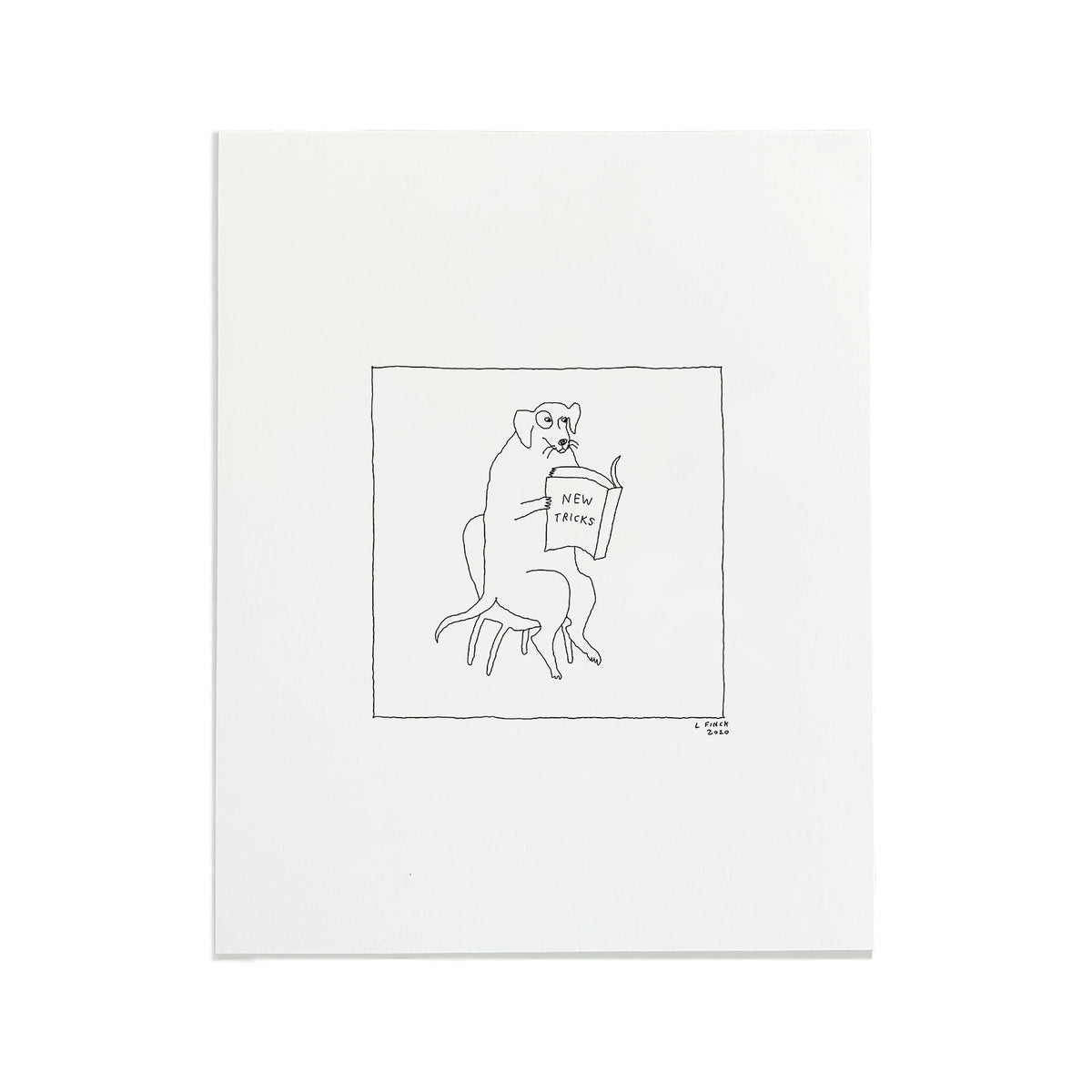 OLD DOG NEW TRICKS BY LIANA FINCK